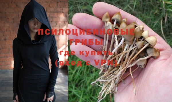 спайс Беломорск