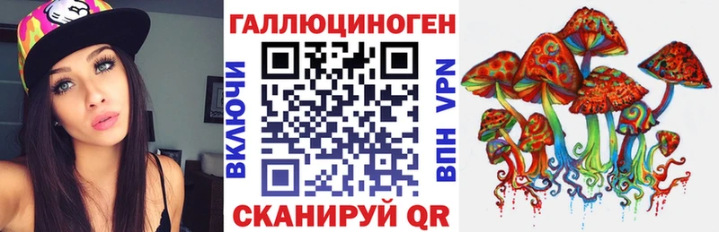 дарнет шоп  Костомукша  площадка наркотические препараты  Галлюциногенные грибы Psilocybe 